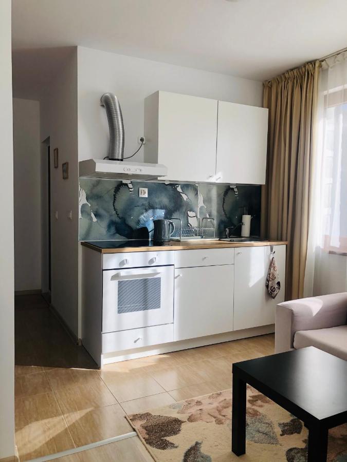 Temerso Studio-Apartment Bansko Zewnętrze zdjęcie